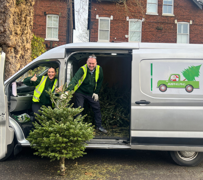 Just Helping Tree collecting