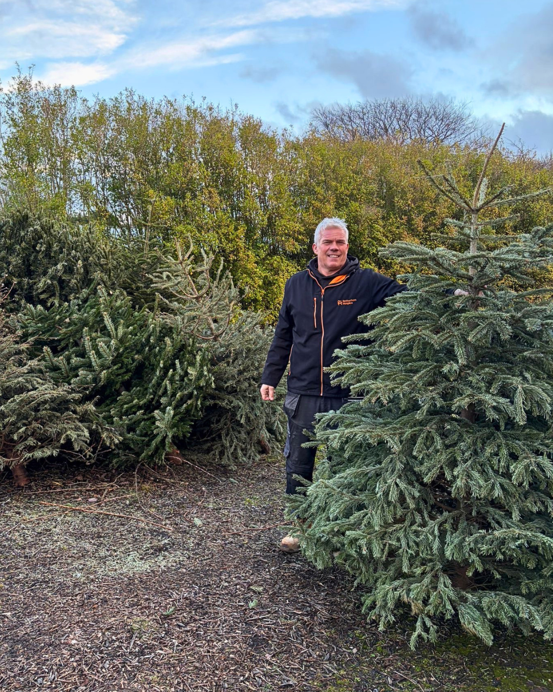 Rotherham Hospice Christmas tree collection